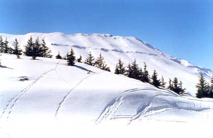 Faraya, Mount Lebanon.
